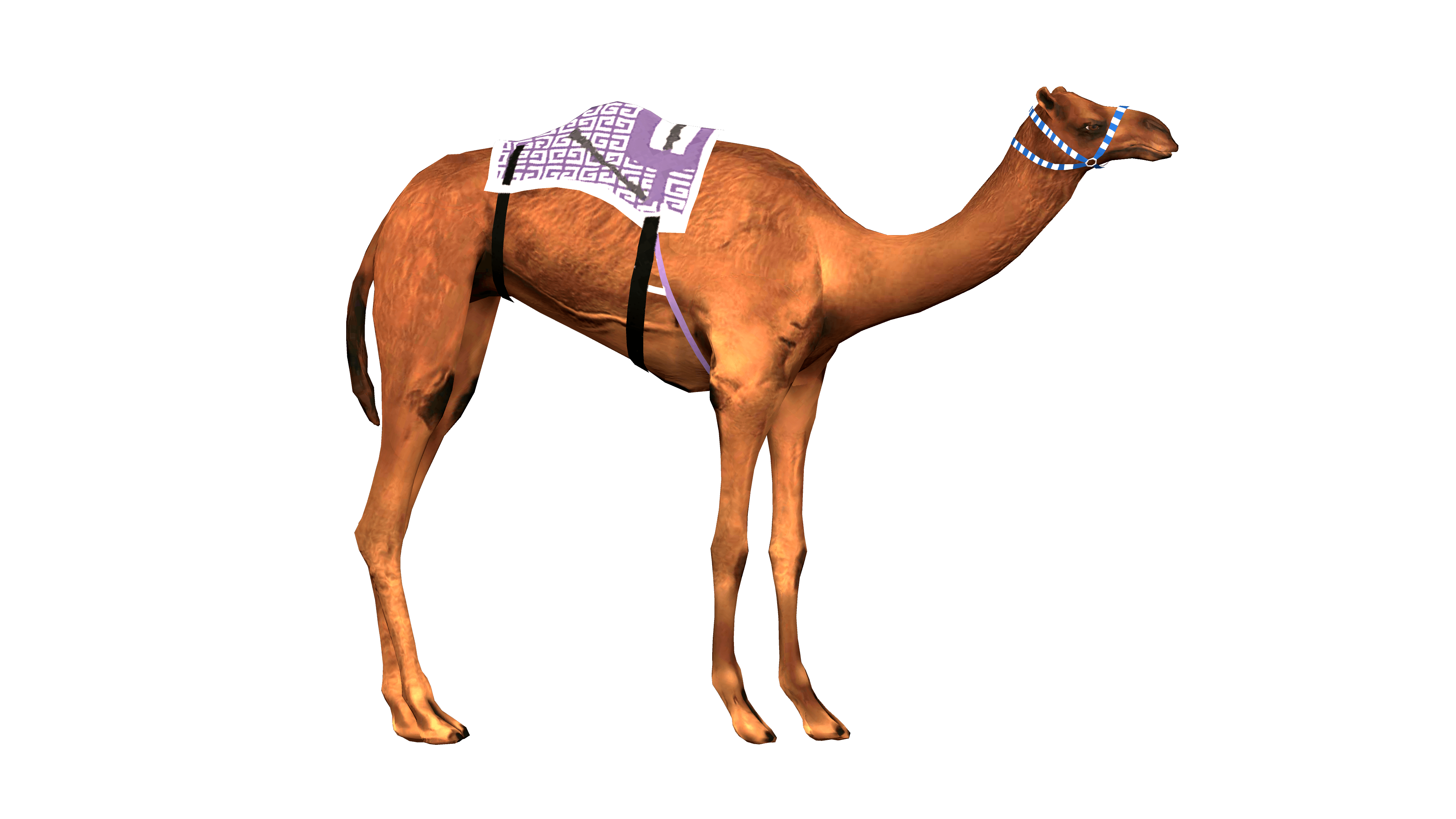 Camel From Left