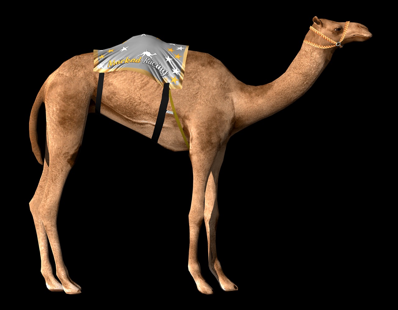 Markad Racing 2 Camel