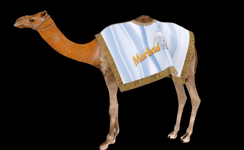 Markad Racing Camel