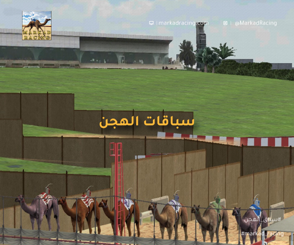 سباقات الهجن
