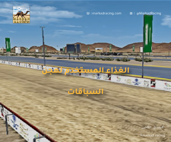 الغذاء المستخدم لهجن السباق