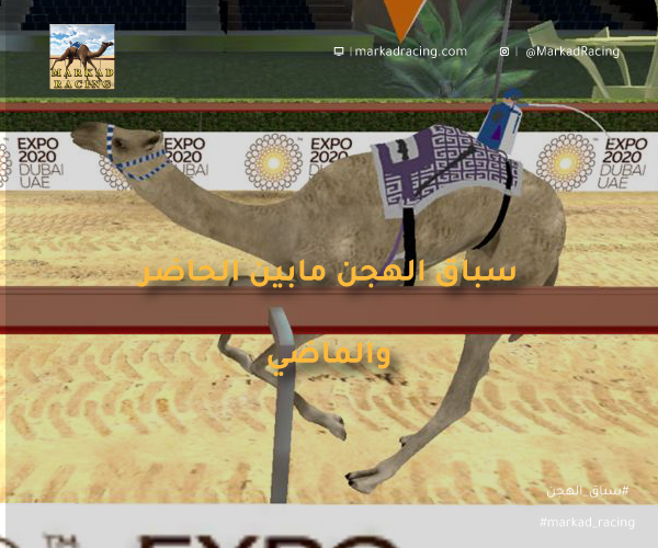 سباق الهجن ما بين الماضي والحاضر