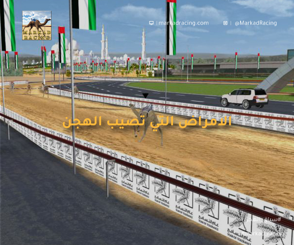 الامراض التي تصيب الهجن