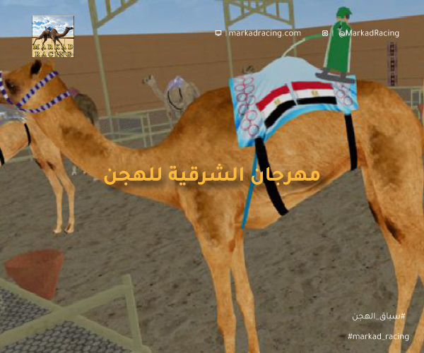 مهرجان الشرقيه للهجن