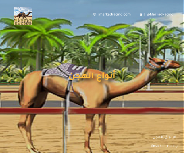 انواع الهجن