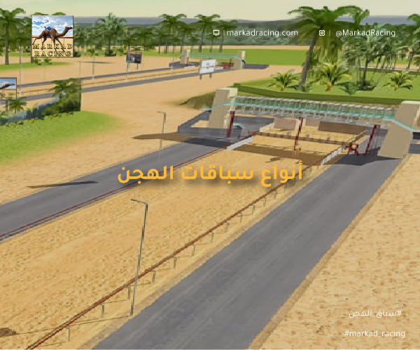 أنواع سباقات الهجن