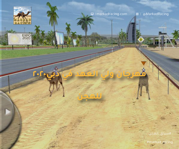 مهرجان ولي العهد للهجن 2020 في دبي